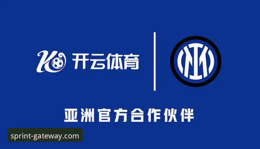 开云体育平台实用指南：从下载安装到高效使用的必备知识